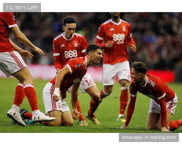 埃弗顿球员手球未被判点球，桑德兰球迷愤怒，埃弗顿著名球员